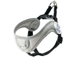 XP[^[ ₷n[lX S  x[VbN PTHV30