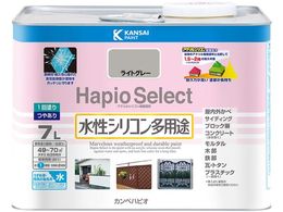 �J���y�n�s�I �n�s�I�Z���N�g ���C�g�O���[ 7L