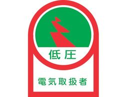 �w�����b�g�p�X�e�b�J�[ �ሳ�d�C�戵�� 10���g �I���t�B��