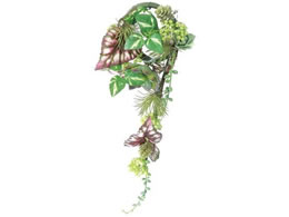 YDM ���� �^�j�N�����O���[�X �O���[��