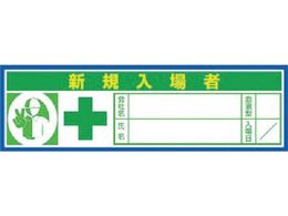 ����/�w�����b�g�V�[��