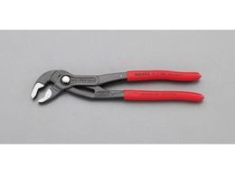 �G�X�R �E�H�[�^�[�|���v�v���C���[ 2