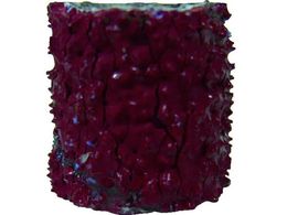 �}�C�� �R�b�s���O�h���� (5��) CD5