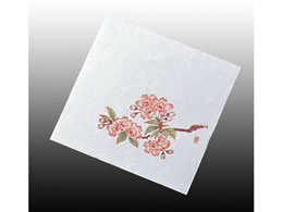 �A�[�e�b�N ���� �j���[�l�G���� 5�� 100�� NS-6 ��