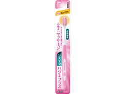 CI VXe}nOLvX nuV RpNg ӂ