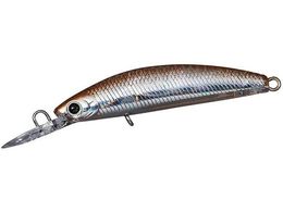 �_�C�� PR�_�u���N���b�`45F1 �z���O�������J�T�M5