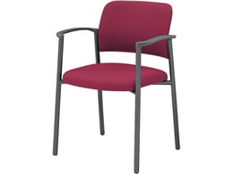 �R�N�� ��c�p�C�X100 �z �I�t �Œ�r �O���[�r �}���[��