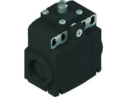 Pizzato/~bgXCb` FX^Cv9