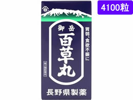 )쌧 xS 4100