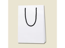 wCR[ 񂰎 uCgobO SWT  MT 10