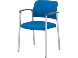 �R�N�� ��c�p�C�X100 �z �I�t �Œ�r �V���o�[�r �u���[