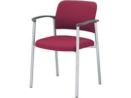 �R�N�� ��c�p�C�X100 �z �I�t �Œ�r �V���o�[�r �}���[��