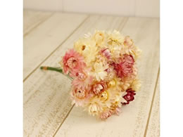  hCt[ wNTC[t \tgsN 25{