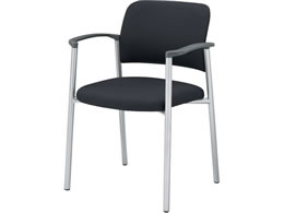 �R�N�� ��c�p�C�X100 �z �I�t �Œ�r �V���o�[�r �O���[