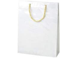 ^J 񂰃obO L[obO  M 5 50-6633