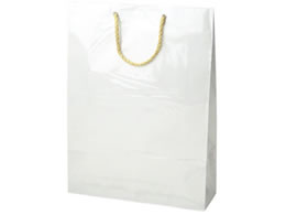 ^J 񂰃obO L[obO  L 5 50-6733