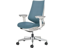 RN `FA fI2 A~r NbV eBRu[