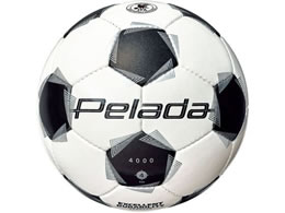 e y[_ 4000 4 TbJ[{[  F4K4000