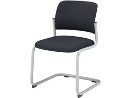 RN cpCX100 z I J`o[r Vo[r O[