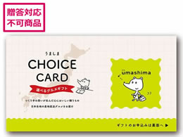 Af[ ܂  J[h UM25-048DX