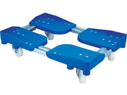 [g/Rei [g{[C302PP^(dl)