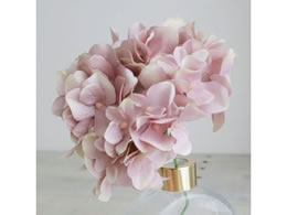   AXnChWA #42 MAUVE 161