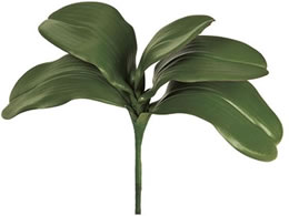   fRt@m[t GREEN