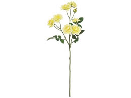   oNVA[Y#4YELLOW