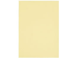 X}[go[ J[y[p[ A4 N[ 500 A262J-2