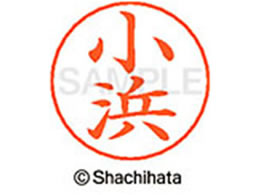 V`n^ l[ypl[ Vo[  l X-GPS-1063