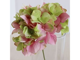   AXnChWA #152 PK GR 151