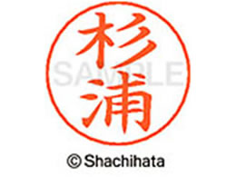 V`n^ l[ypl[ Vo[  Y X-GPS-1317