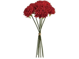   xG}sbN #3 RED 6{
