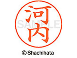 V`n^ l[ypl[ Vo[  ͓ X-GPS-2394