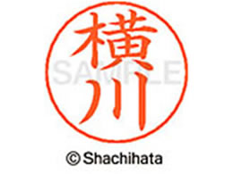 V`n^ l[ypl[ Vo[   X-GPS-2481