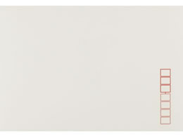 �L���O�R�[�|���[�V���� �m2 �~���[�Y�R�b�g�� 100���~20�� 130310