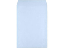 LOR[|[V p2 Hi\tgJ[ ANA NCbNt500 075420