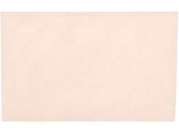 �L���O�R�[�|���[�V���� ���h������ Hi�\�t�g �s���N 200���~10��