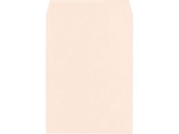 LOR[|[V pA4 Hi\tgJ[ sN500 160402