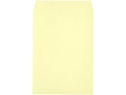 LOR[|[V p2 vCoV[ی압 N[ 500