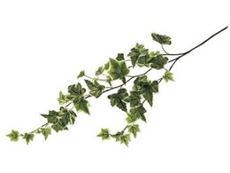   VFX^ACr[oC #23 LT.GR 0