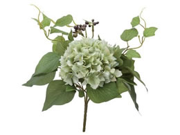 YDM  AWTC~bNXubV CgO[