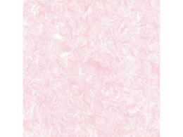 wCR[  S _ sN 100 002355102