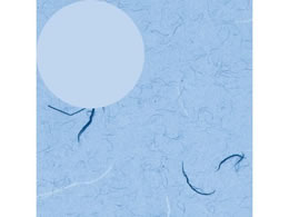 wCR[   ӂ  100 002318300