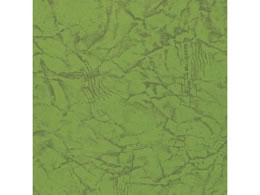 wCR[   ~[gX2 I[u 100 002318801