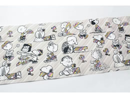 J mtCNV[g Peanuts s[ibcEXgCv MTCARPT02