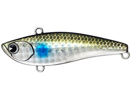 �A���Y�f�U�C�� ima ���C�L��60 RK60-004 �{��