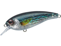 Go[O[ xJg #389 tbVCibR