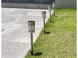 t@~[ECt 􉽊w͗l K[f\[[Cg 4{g a35398