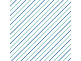 wCR[  S  ΐ61 BWG 100 002361700